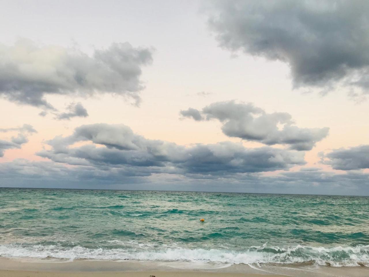 The King David Condos Miami Beach Esterno foto